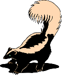 cdn.animals.pt1.ex1.2.skunk.gif