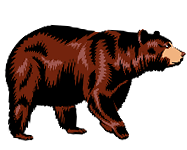 cdn.animals.pt1.ex1.3.bear.gif