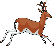 cdn.animals.pt2.ex10.deer.gif