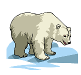 cdn.coins.ex1.9.polarbear.gif